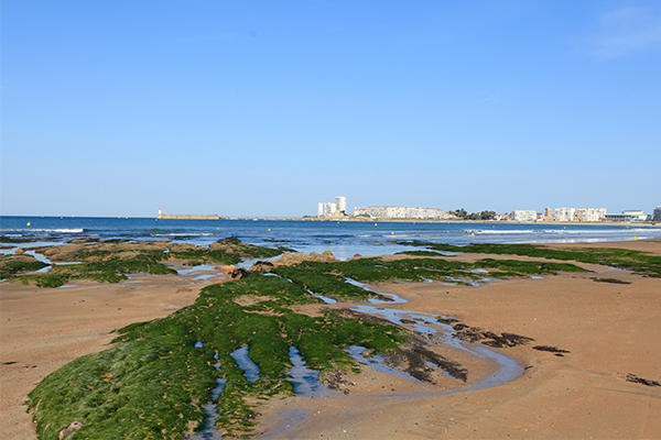 plagelessablesolonneremblai2__027152900_1508_08042015